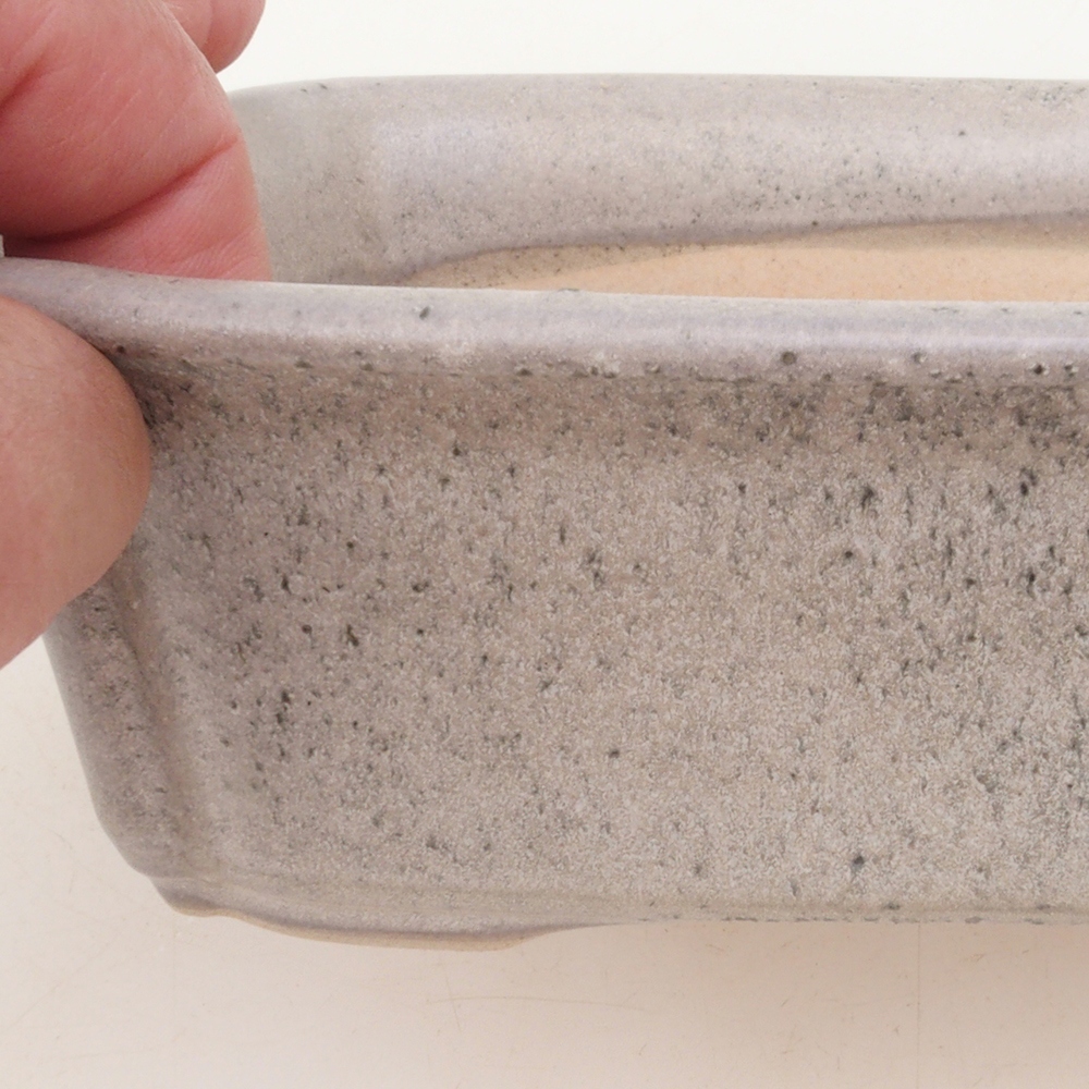 Coupe bonsaï H50 - 17 x 12,5 x 5,5 cm - beige