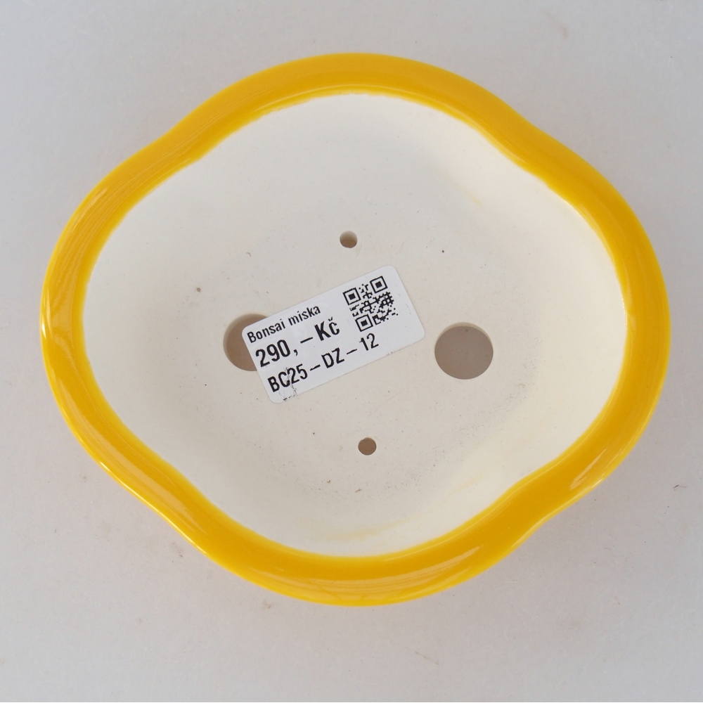 Bol à bonsaï en céramique 13 x 12 x 5 cm, jaune