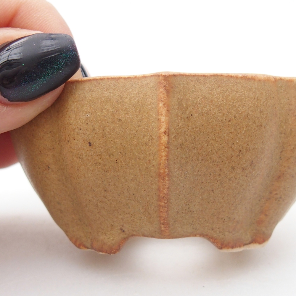 Mini bol bonsaï 7 x 5 x 3 cm, brun