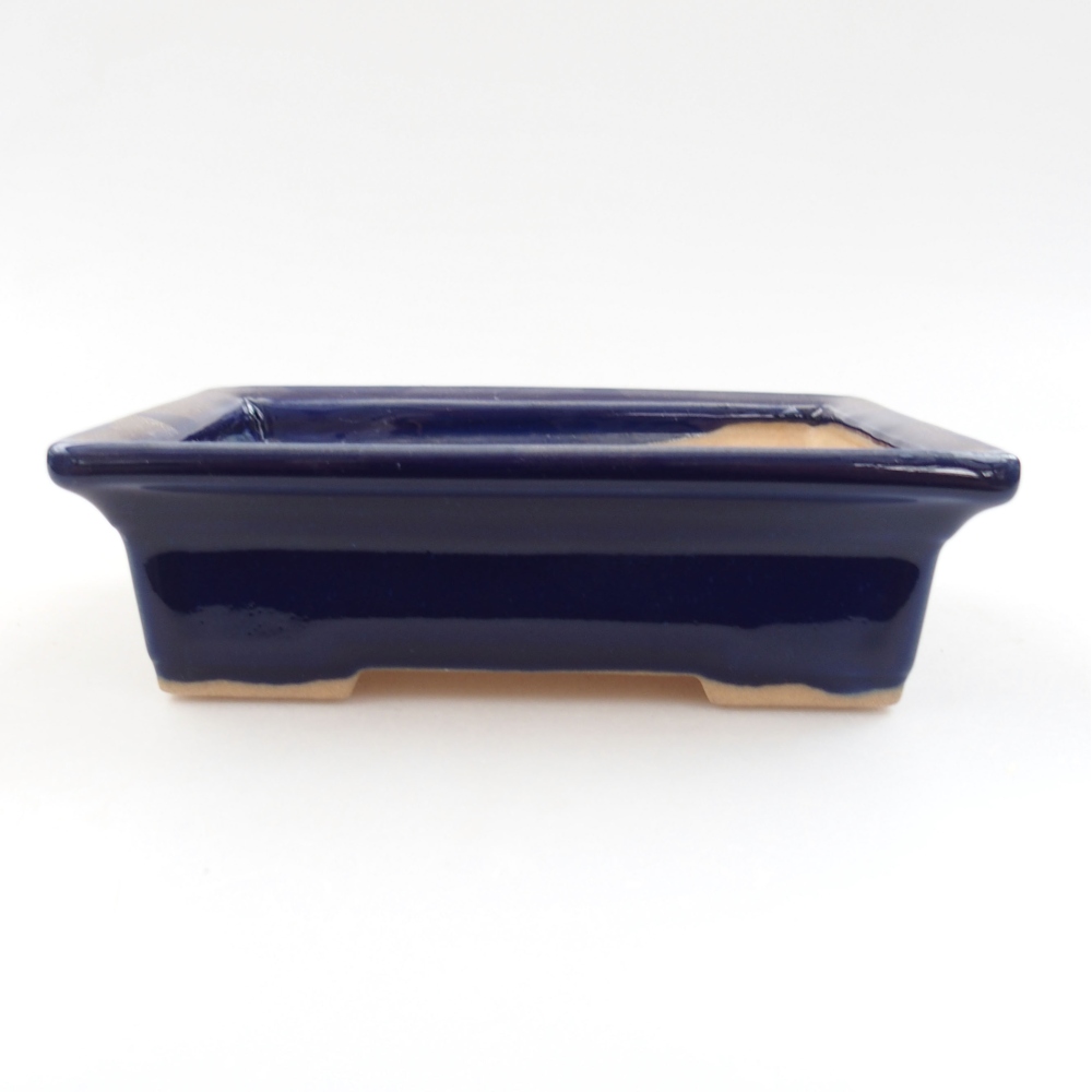 Bol à bonsaï en céramique 22 x 17 x 5 cm, vert