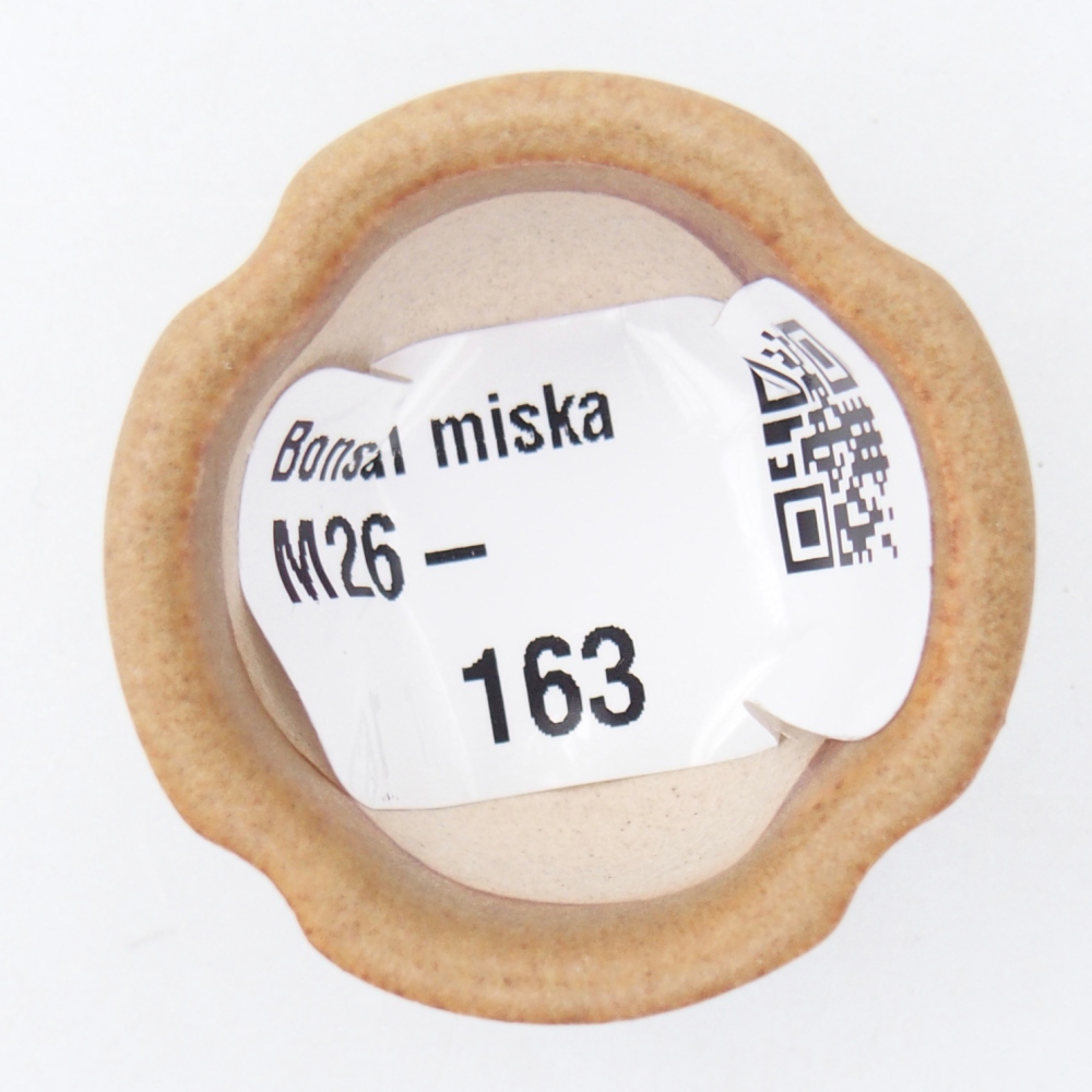 Mini bol bonsaï 3,5 x 3,5 x 2,5 cm, brun