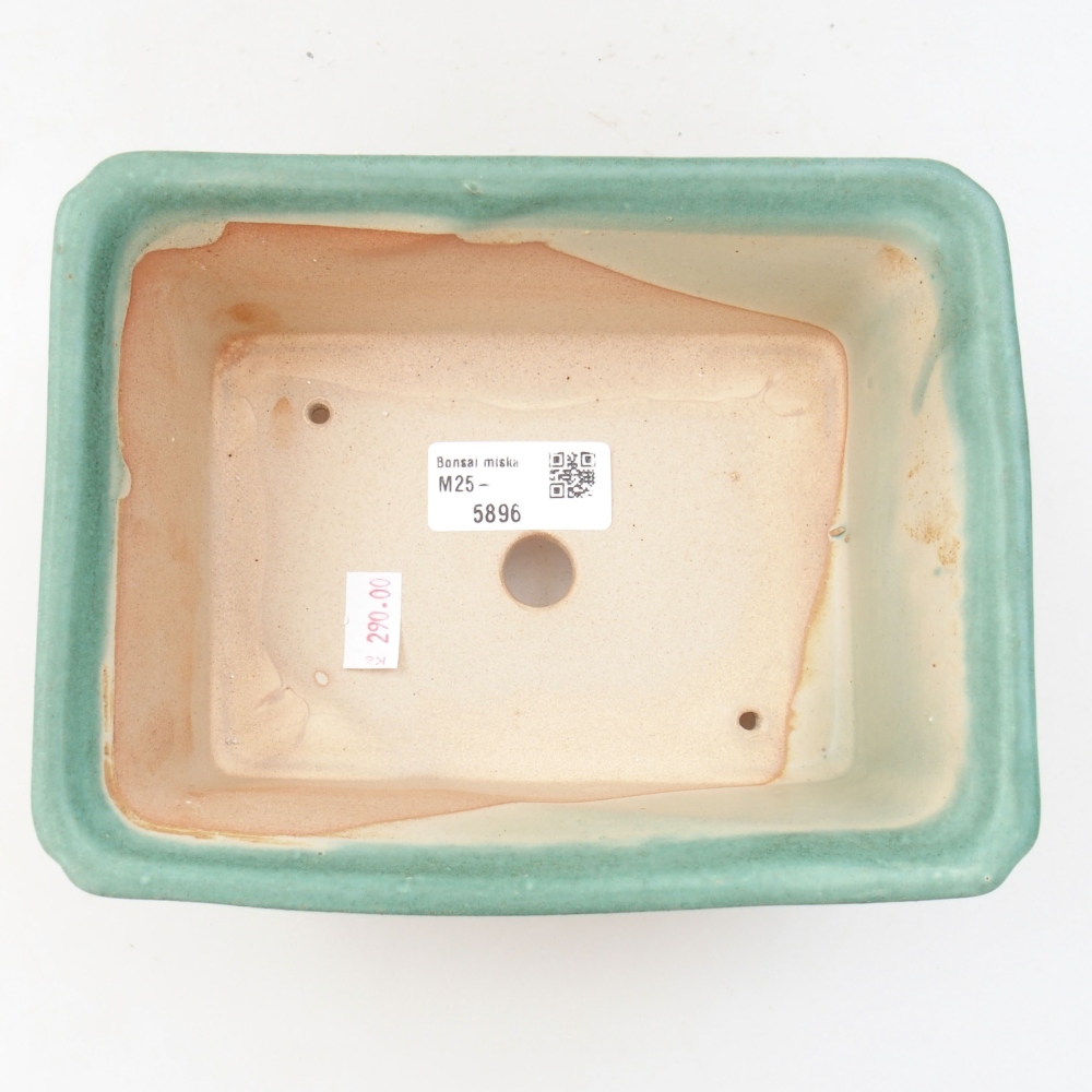 Bol à bonsaï en céramique 22 x 17 x 5 cm, vert