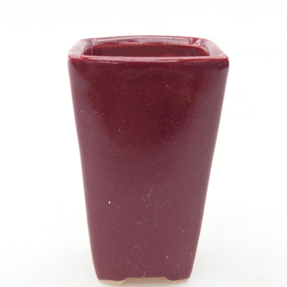 Mini bol bonsaï 3,5 x 3 x 5,5 cm, couleur bordeaux