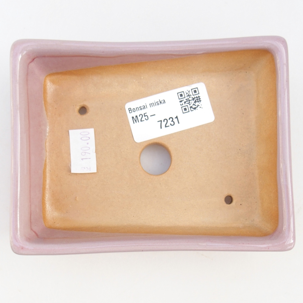 Bol à bonsaï en céramique 12 x 9 x 3,5 cm, rose