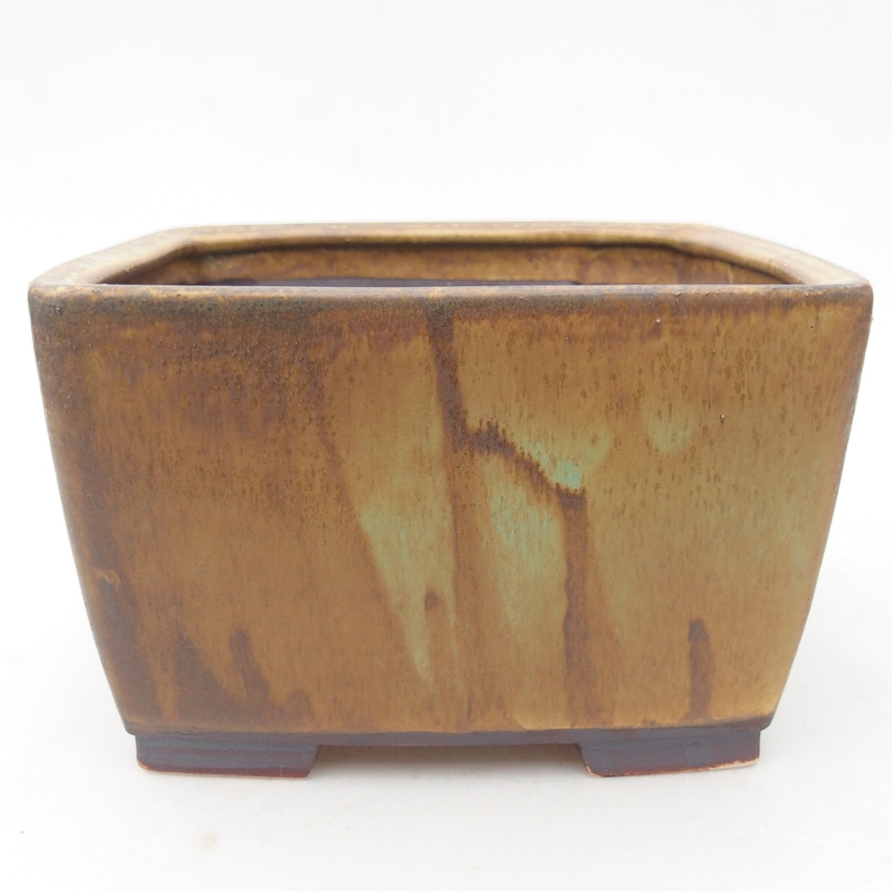 Bol à bonsaï en céramique 16 x 16 x 10 cm, vert