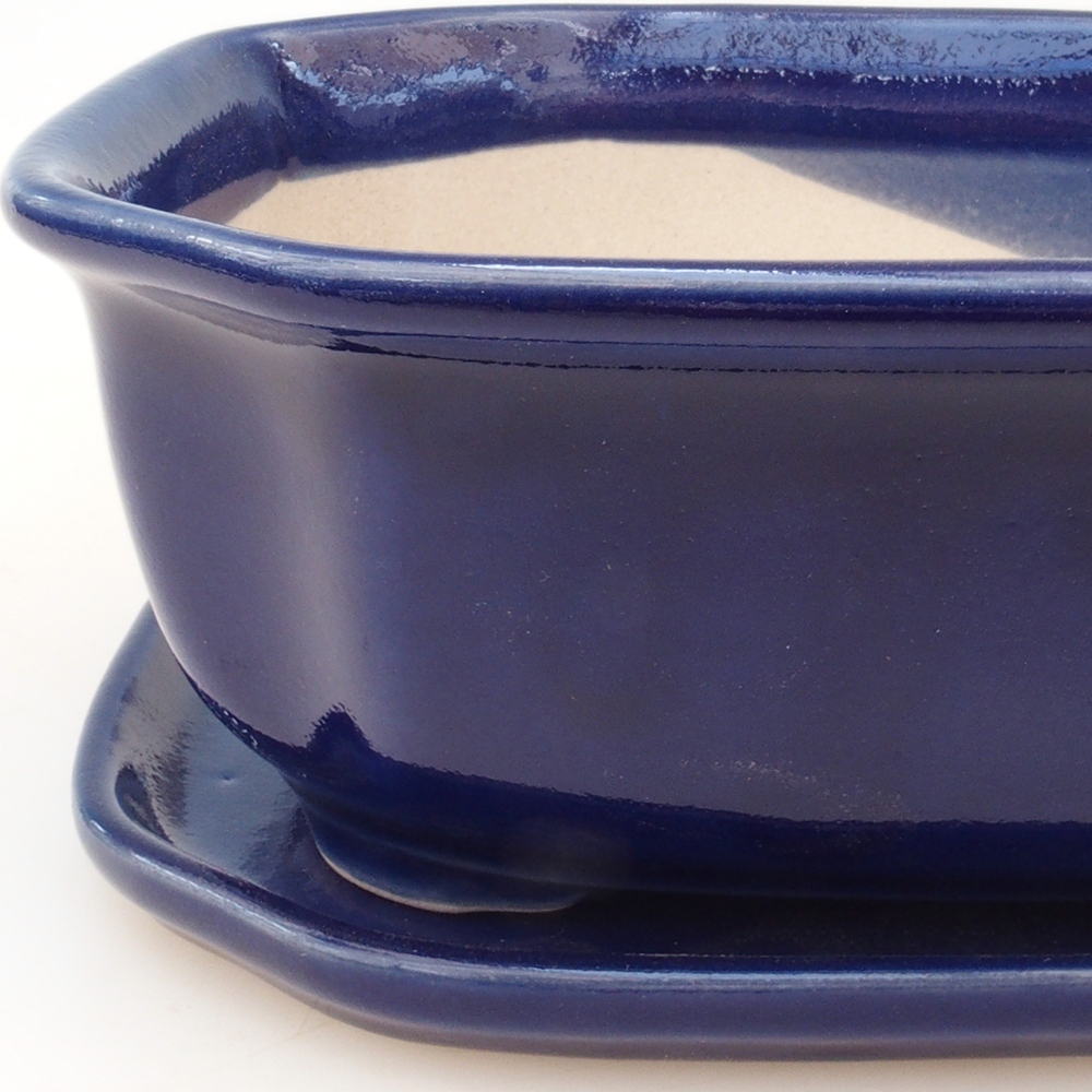 Bol Bonsaï + soucoupe H32 - bleu