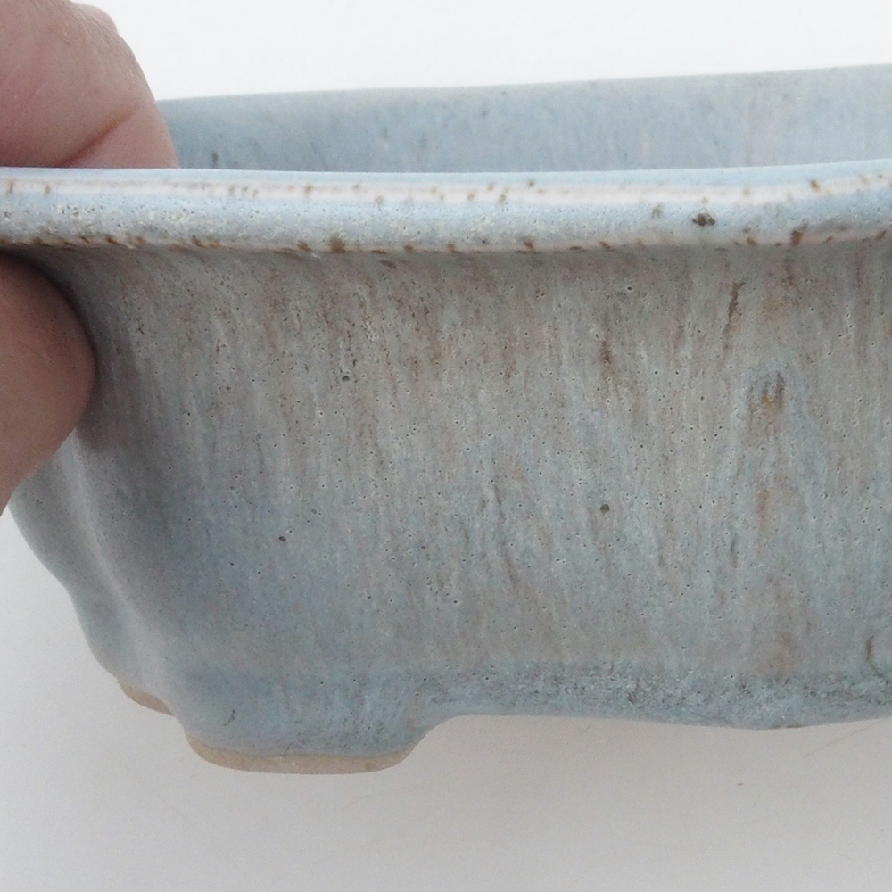 Bol à bonsaï H51 - 18 x 14 x 5 cm - beige