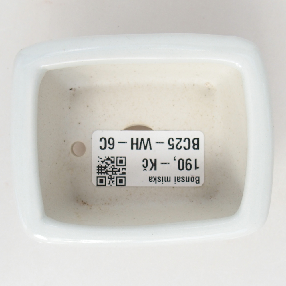 Mini bol bonsaï 8 x 6,5 x 3,5 cm, blanc