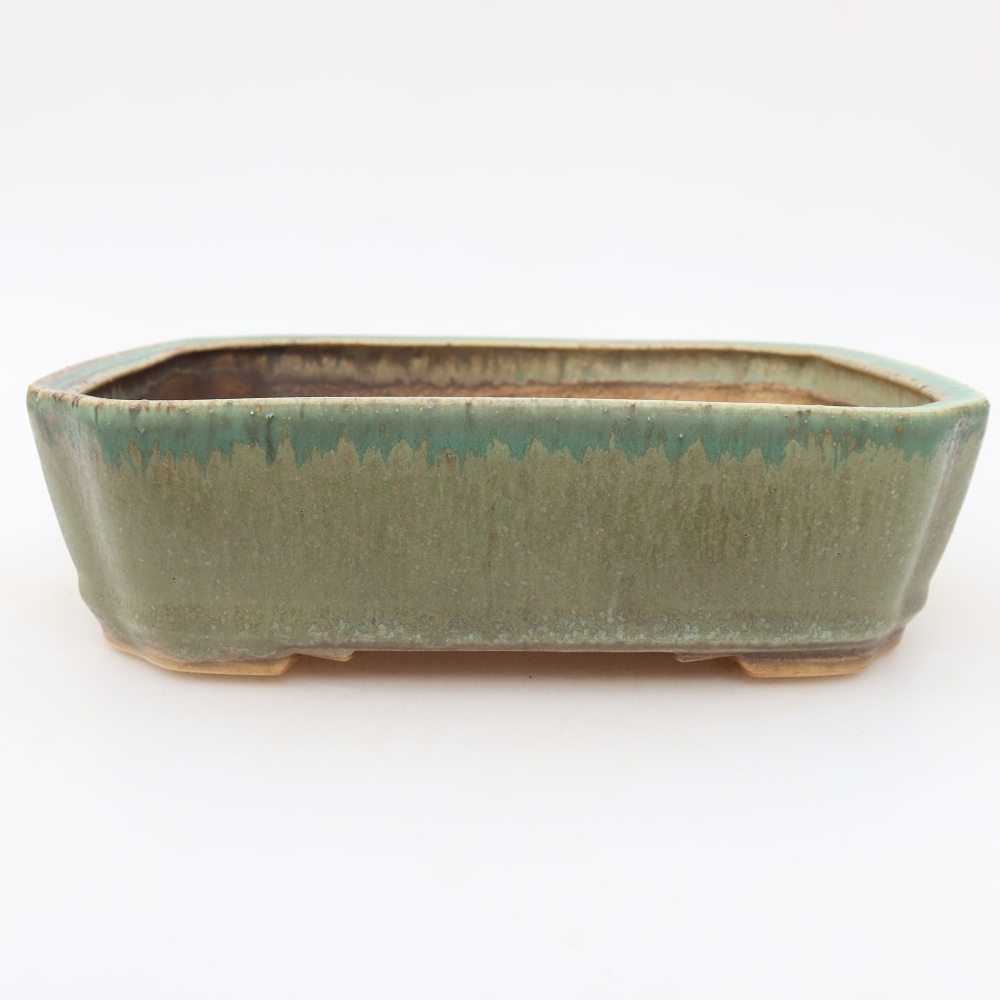 Pot à bonsaï en céramique 21,5 x 18 x 6 cm, couleur verte