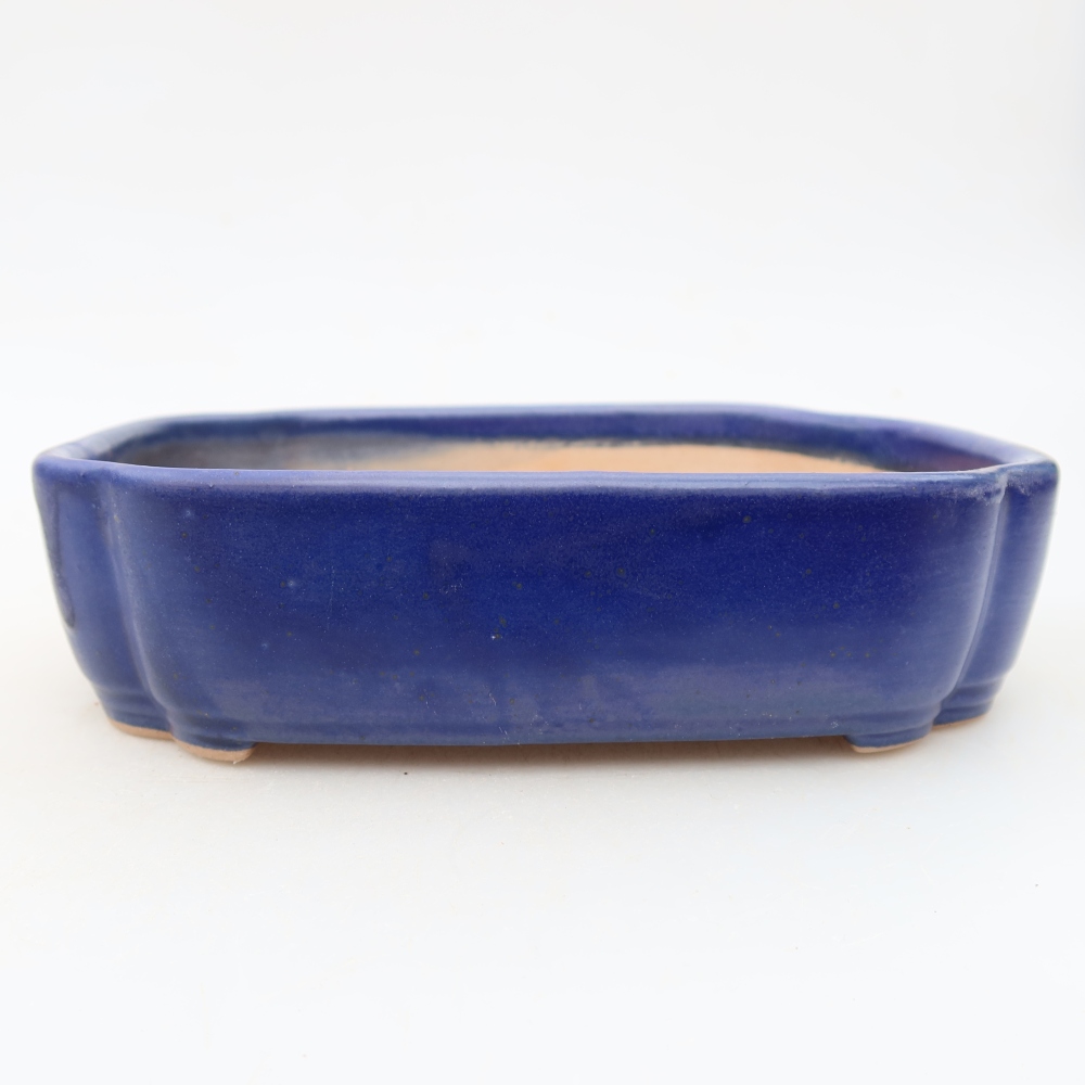 Bol à bonsaï en céramique 16 x 11,5 x 4 cm, couleur bleu