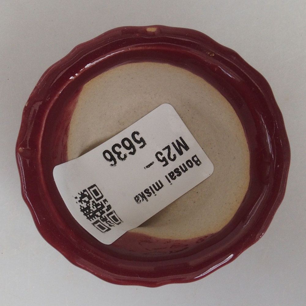 Mini bol bonsaï 5 x 5 x 2,5 cm, couleur bordeaux
