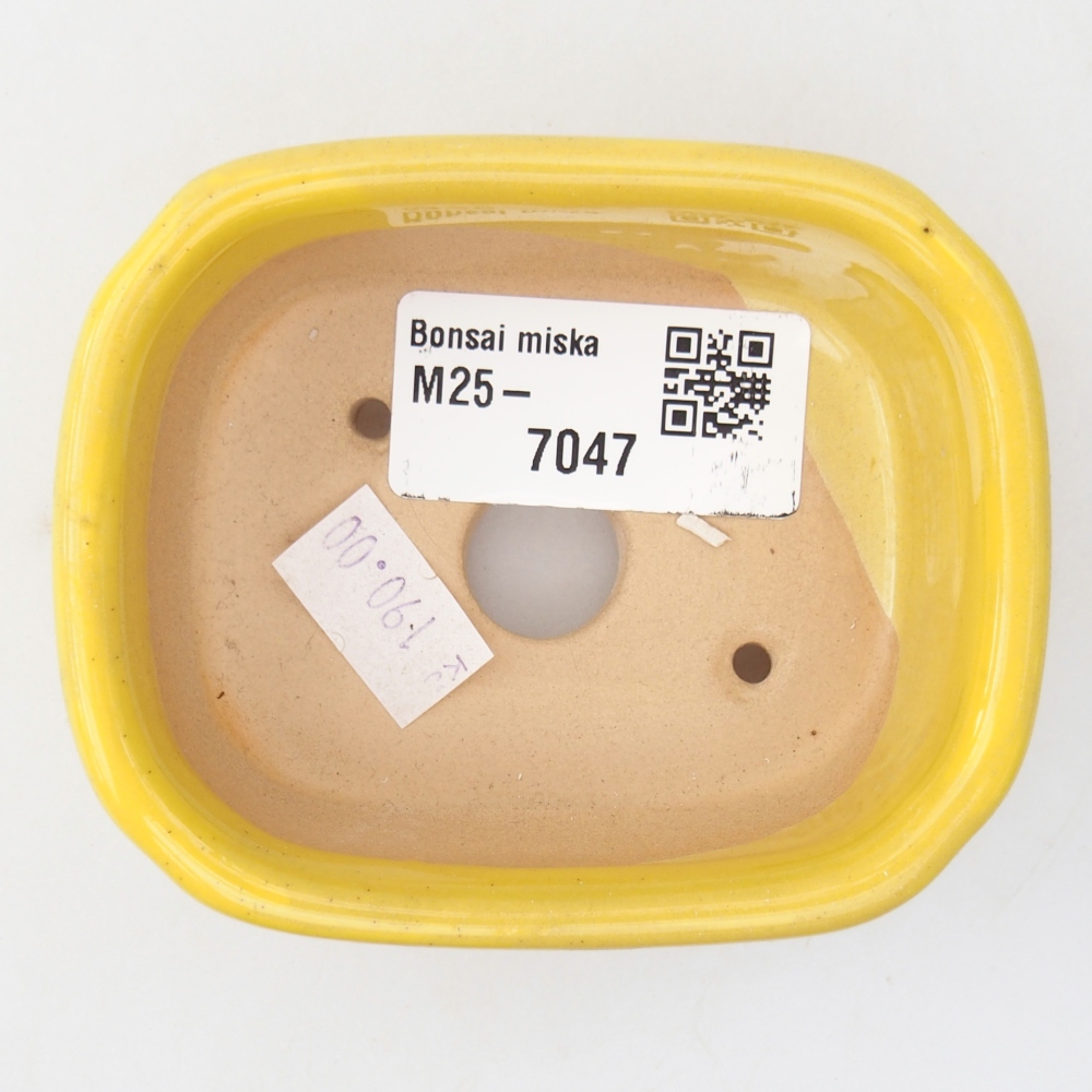 Bol à bonsaï en céramique 8,5 x 7 x 3,5 cm, jaune