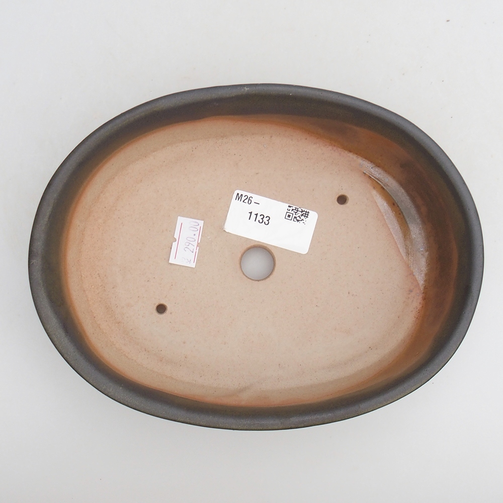 Bol à bonsaï en céramique 19 x 14 x 4,5 cm, vert