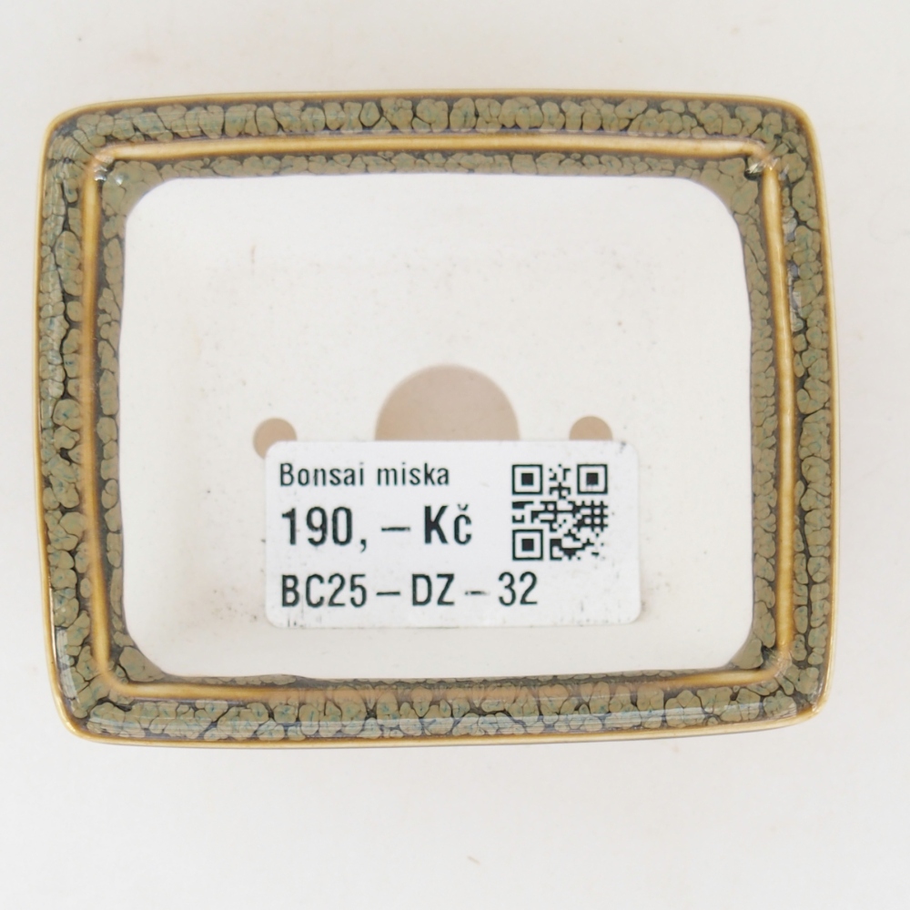 Mini bol bonsaï 7,5 x 6 x 3 cm, vert