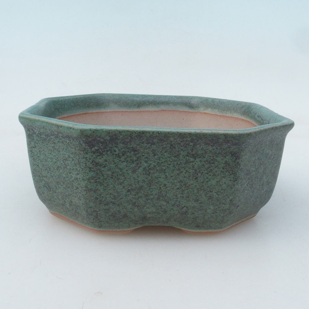Coupe bonsaï H13 - 12,5 x 12,5 x 4,5 cm - vert
