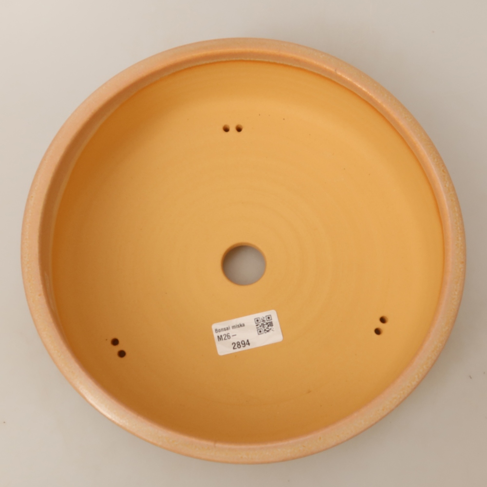Bol à bonsaï en céramique 24,5 x 24,5 x 7 cm, couleur beige