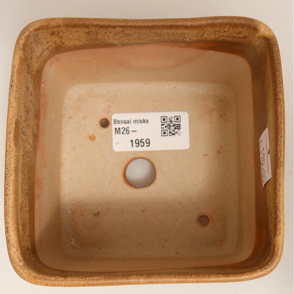 Pot à bonsaï en céramique 10 x 10 x 8,5 cm, couleur beige