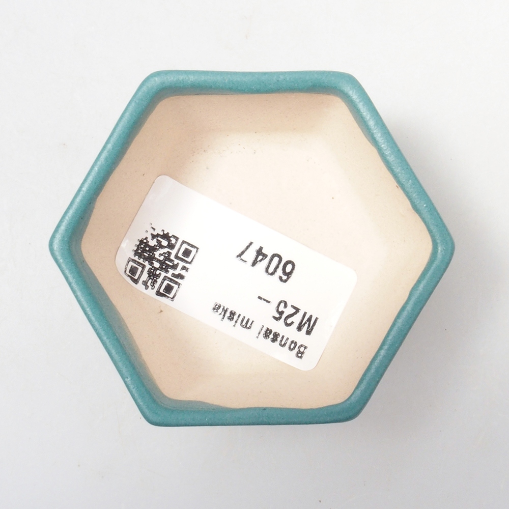 Bol à bonsaï en céramique 6,5 x 5,5 x 4 cm, couleur bleu