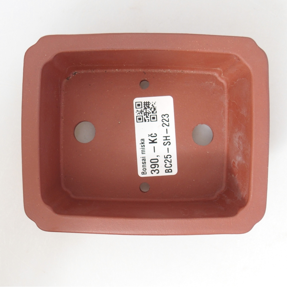 Bol 11 x 9 x 3,5 cm couleur brique