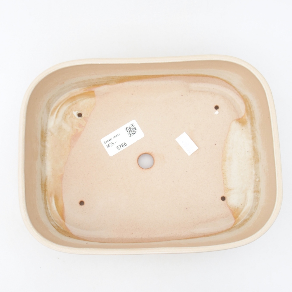 Bol à bonsaï en céramique 23 x 17,5 x 5,5 cm, couleur beige