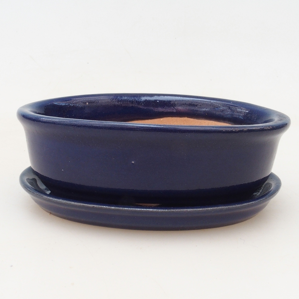 Bol Bonsaï + soucoupe H04 - bleu