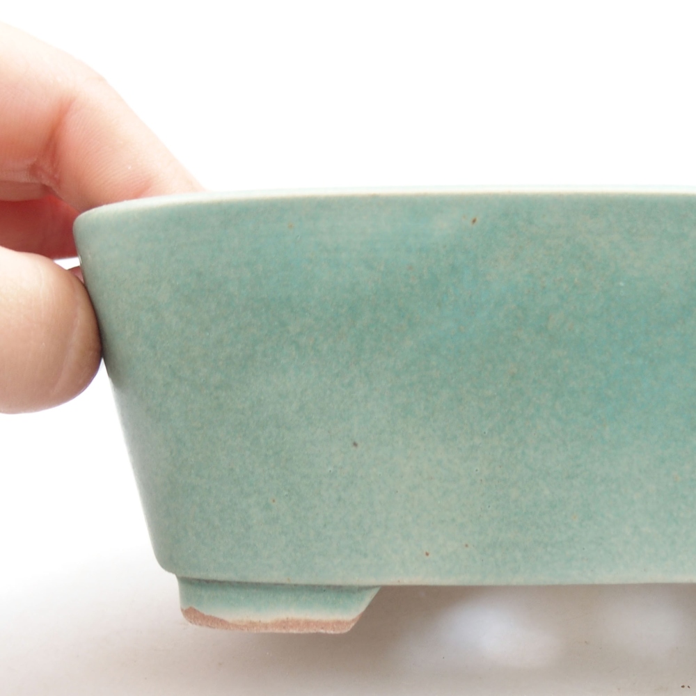 Bol à bonsaï en céramique 22 x 17 x 5 cm, vert