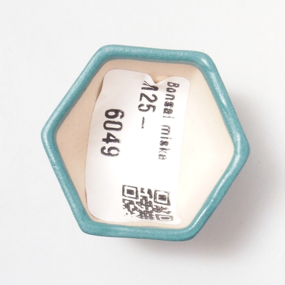 Bol à bonsaï en céramique 6,5 x 5,5 x 4 cm, couleur bleu