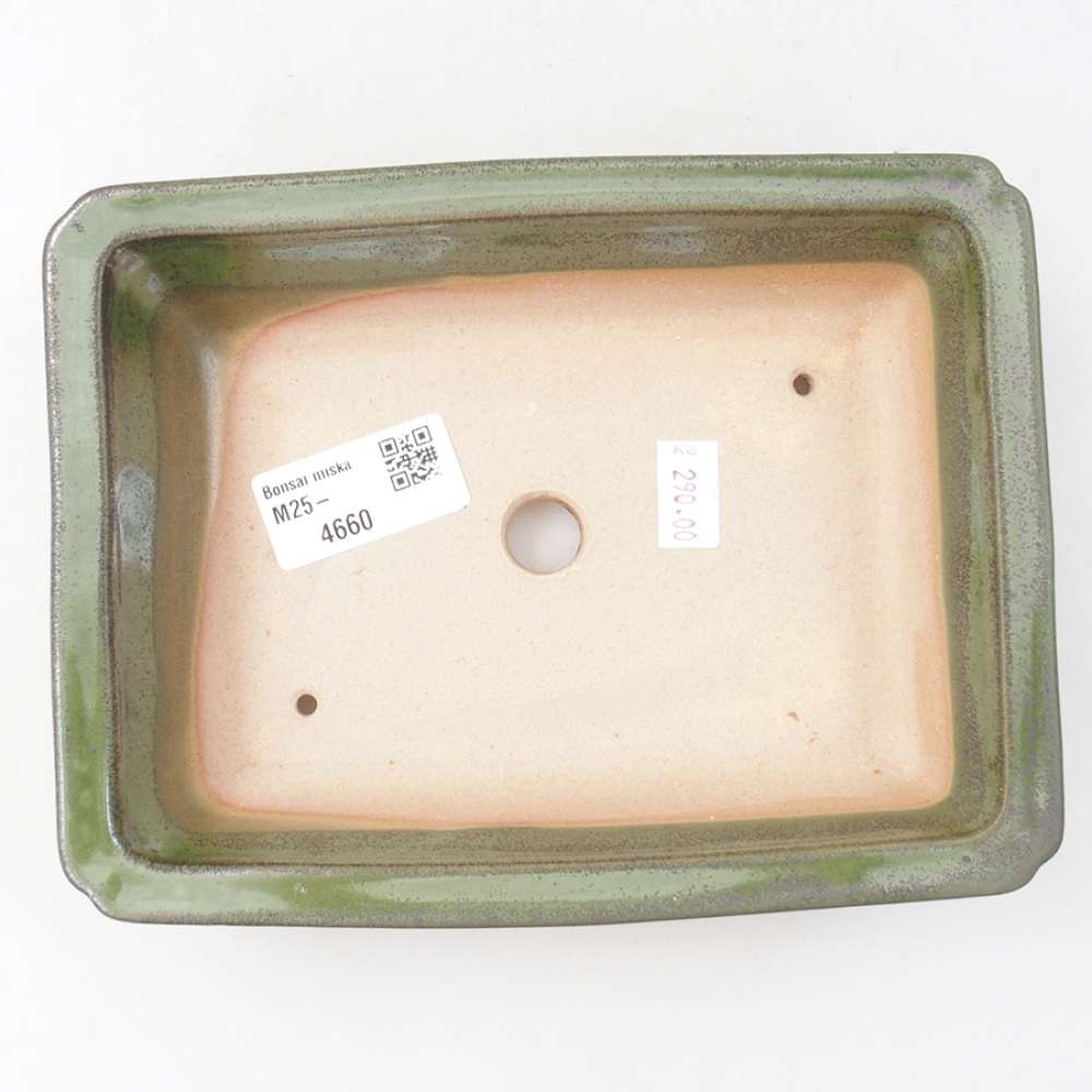 Bol à bonsaï en céramique 17,5 x 13 x 4 cm, vert