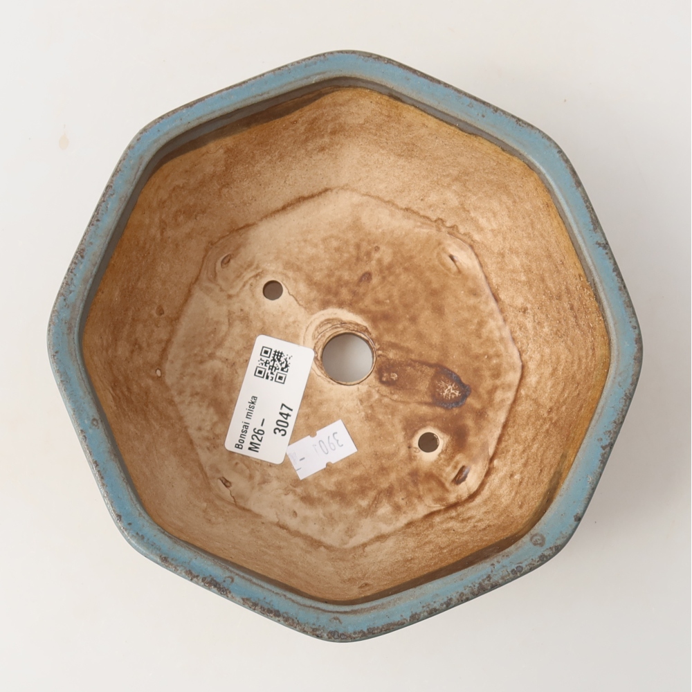 Pot à bonsaï en céramique 17 x 16 x 6,5 cm, couleur bleue