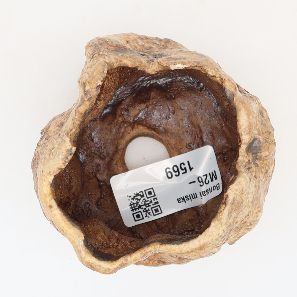 Coquille en céramique  6 x 5 x 6 cm , couleur marron