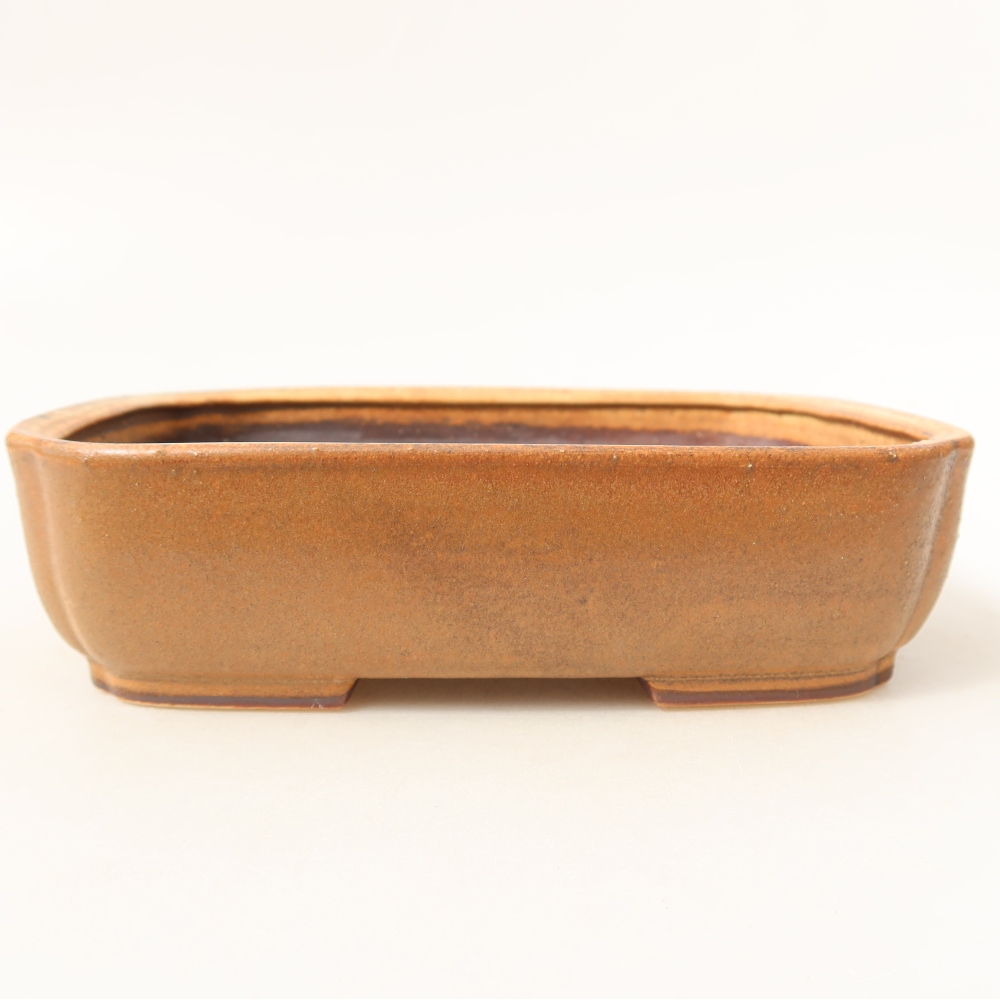 Pot à bonsaï en céramique 18 x 15 x 6 cm, couleur rose