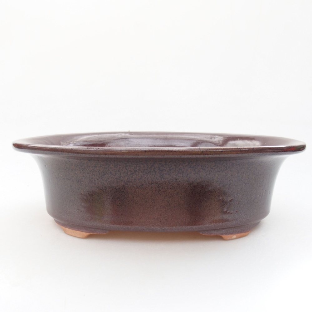 Bol à bonsaï en céramique 22 x 17 x 5 cm, vert