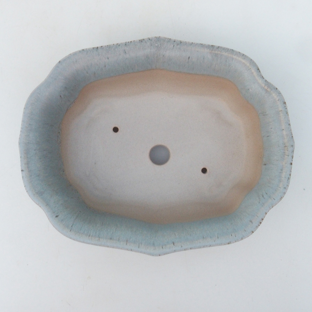 Bol à bonsaï H51 - 18 x 14 x 5 cm - beige