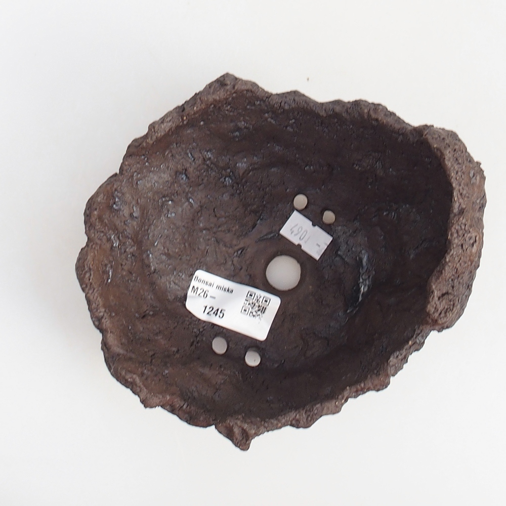 Coquille en céramique 14 x 13 x 13 cm , couleur marron