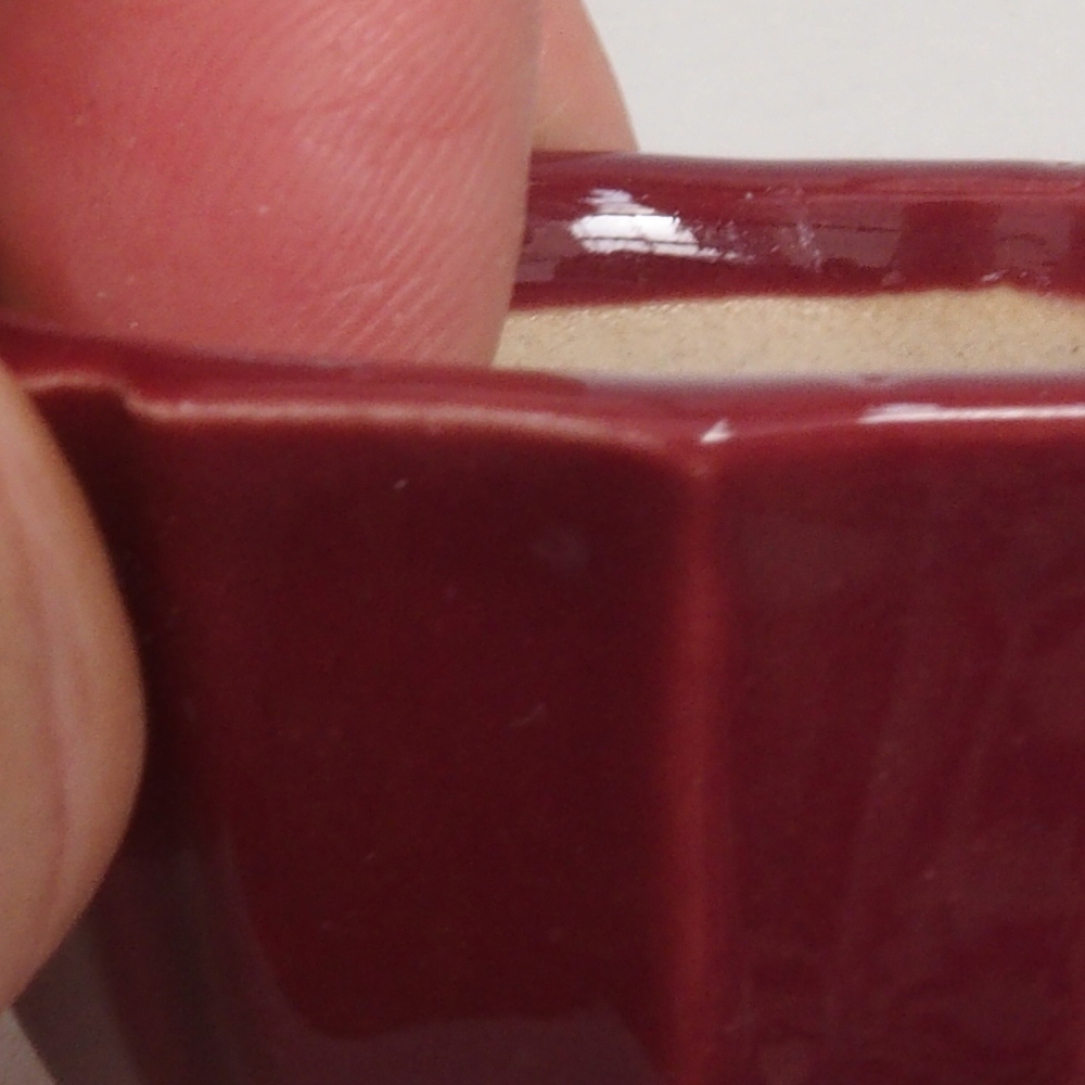 Mini bol bonsaï 5 x 5 x 3 cm, bordeaux