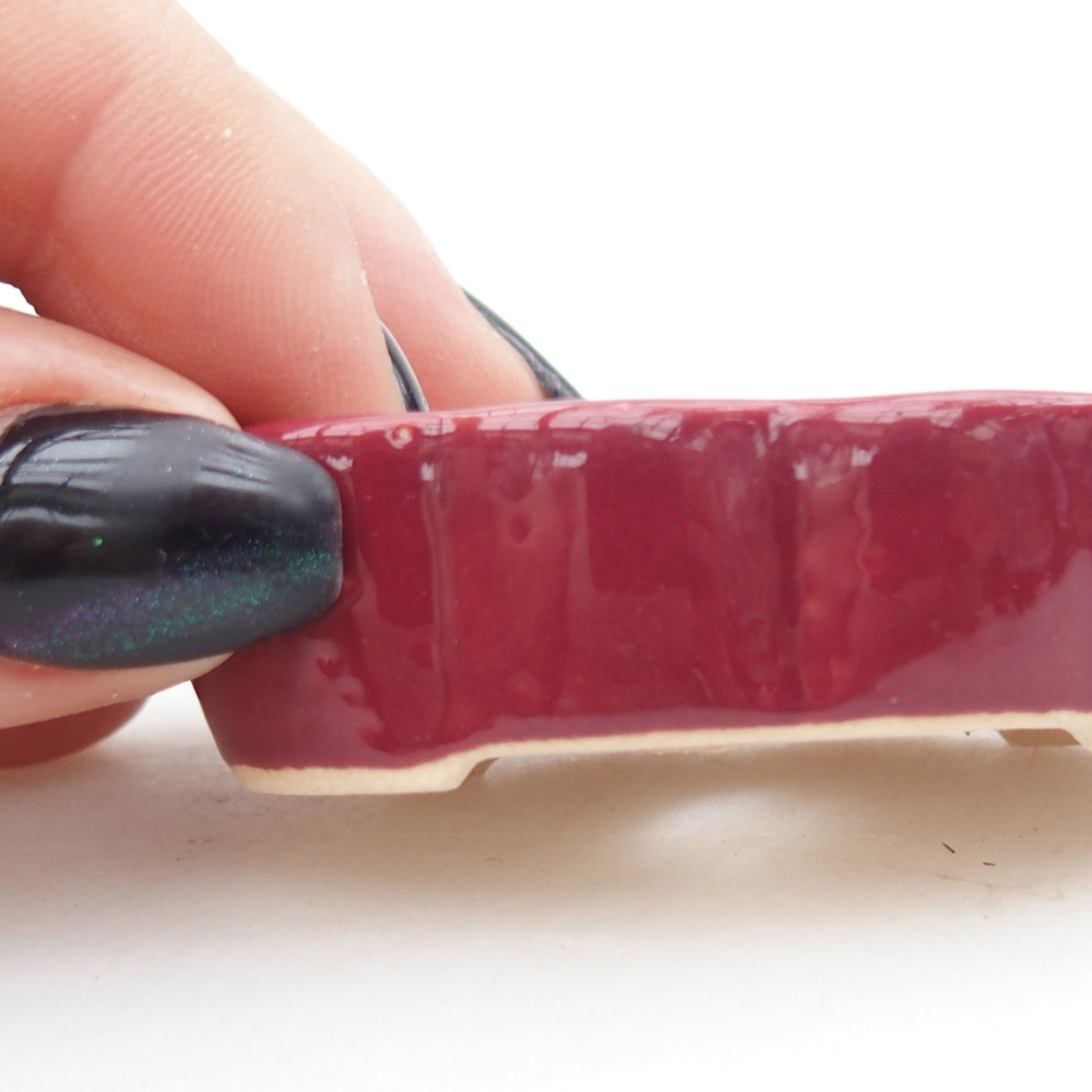 Mini bol bonsaï 5,5 x 3,5 x 1,5 cm, bordeaux