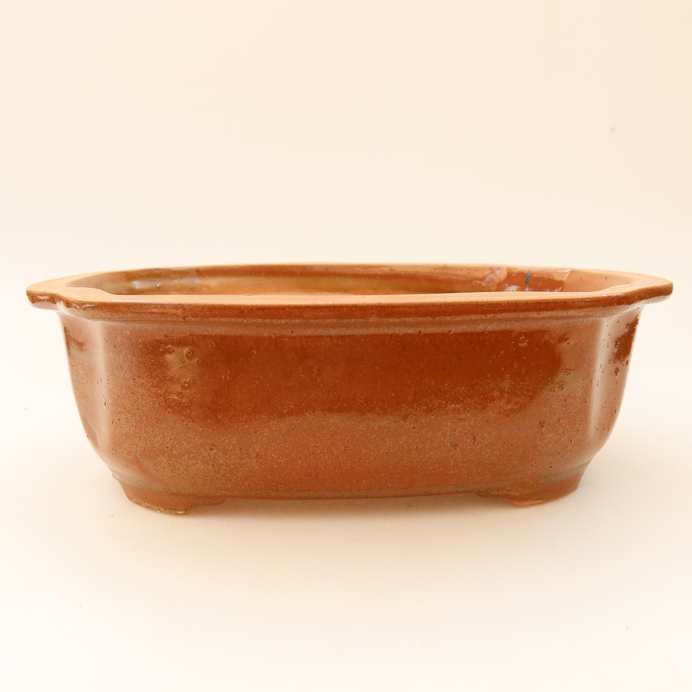 Bol à bonsaï en céramique 23 x 19 x 7 cm, brun