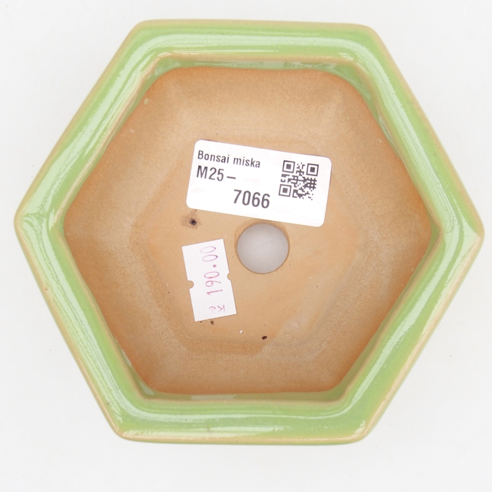 Bol à bonsaï en céramique 12 x 10,5 x 4,5 cm, vert