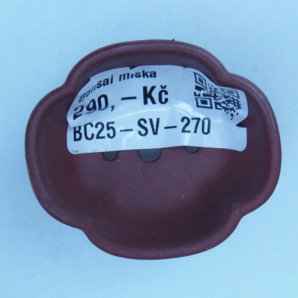 Bol 4,5 x 4 x 2 cm marron