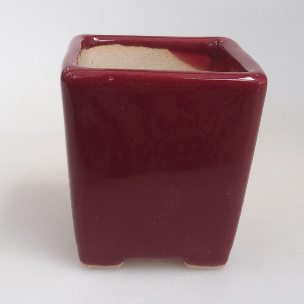 Mini bol bonsaï 4,5 x 4,5 x 4,5 cm, bordeaux