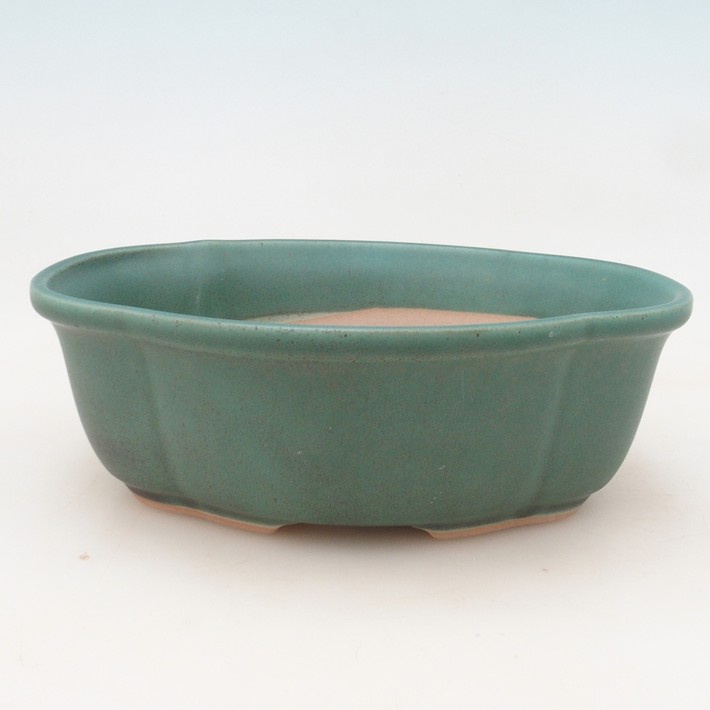 Bol Bonsaï + soucoupe H75 - vert