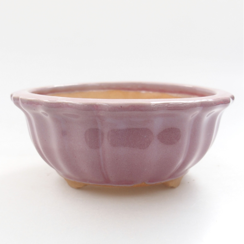 Bol à bonsaï en céramique 22 x 17 x 5 cm, vert