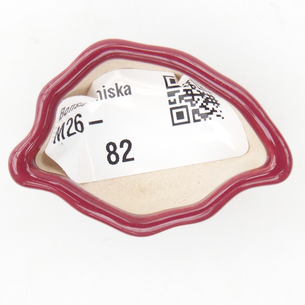 Mini bol bonsaï 5 x 3 x 2 cm, bordeaux
