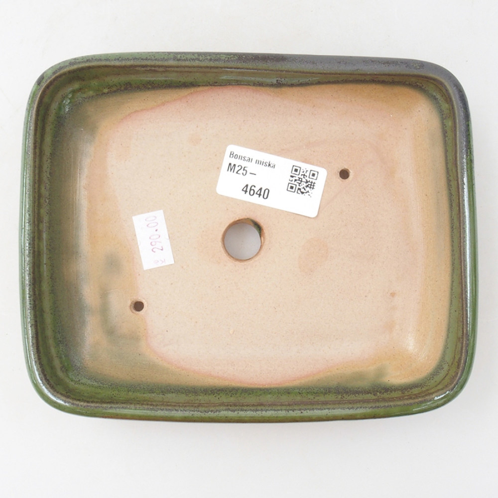 Bol à bonsaï en céramique 17 x 13,5 x 3,5 cm, vert