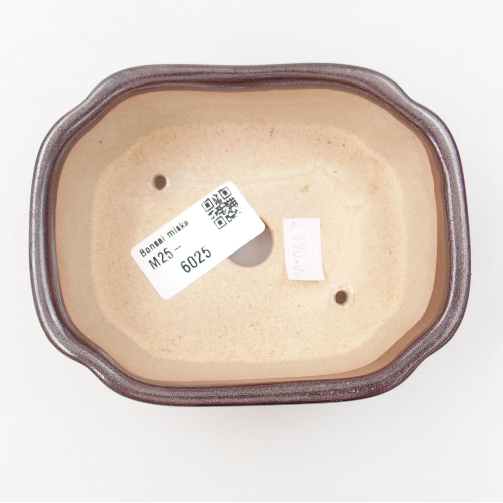 Bol à bonsaï en céramique 22 x 17 x 5 cm, vert