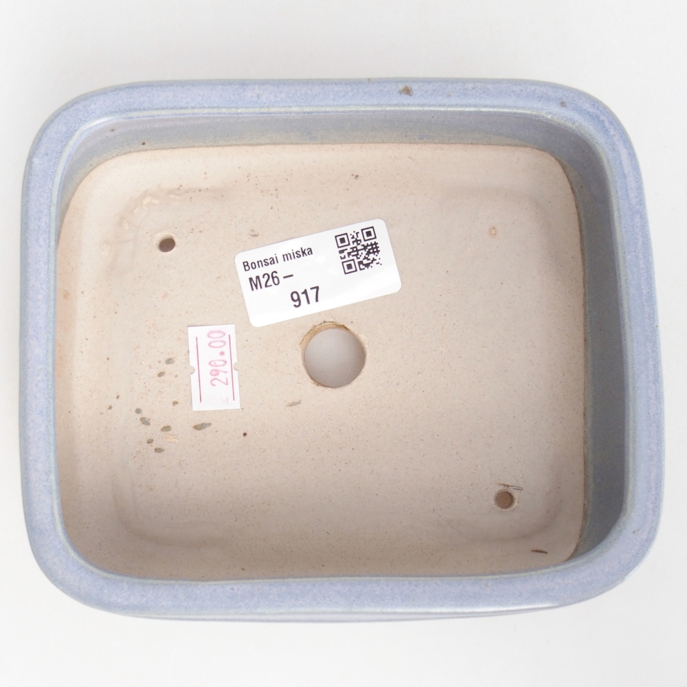 Bol à bonsaï en céramique 14,5 x 12,5 x 4,5 cm, couleur bleu