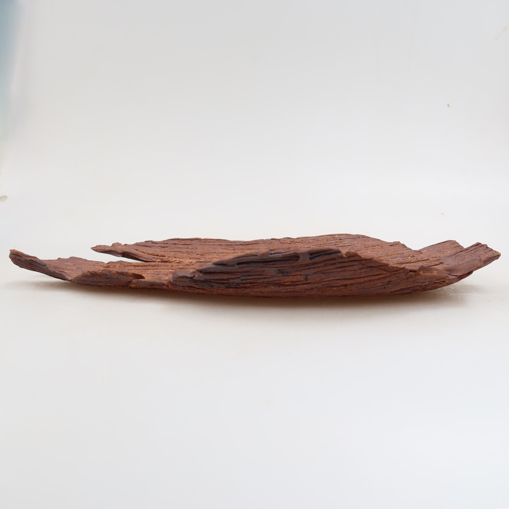 Coquille en céramique  30,5 x 18 x 3,5 cm, couleur marron