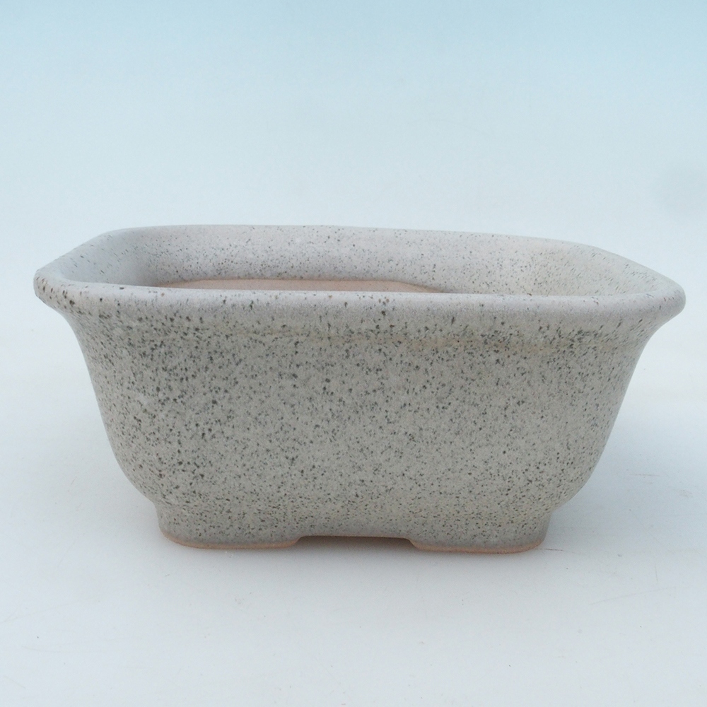 Bol bonsaï + soucoupe H38 - 12x10x5,5 cm - beige