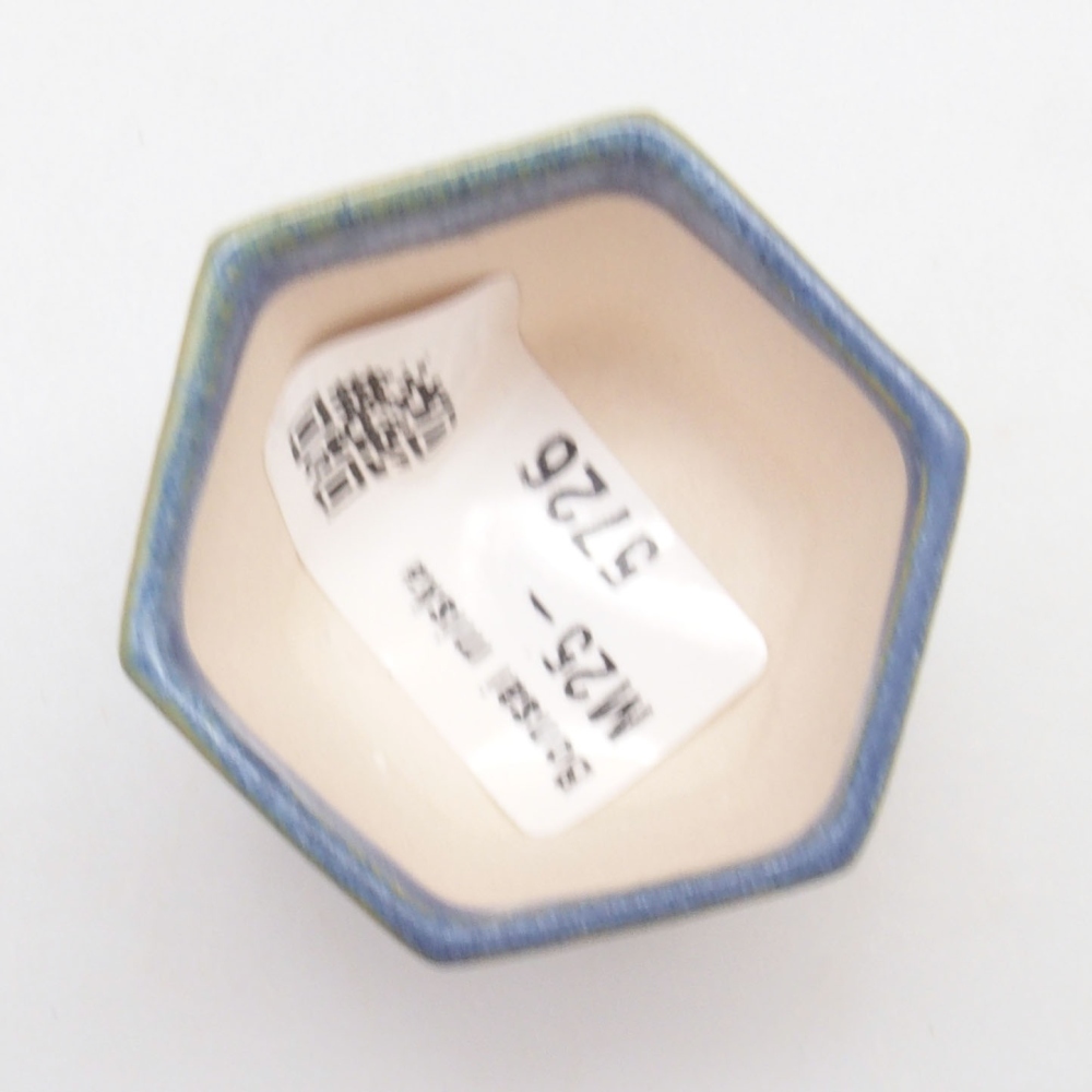 Mini bol bonsaï 4,5 x 4 x 3,5 cm, couleur bleu