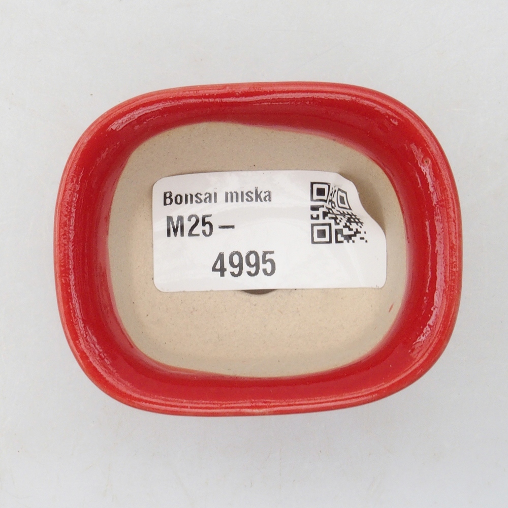 Mini bol bonsaï 5,5 x 4,5 x 3 cm, couleur rouge